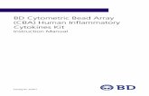 BD Cytometric Bead Array (CBA) Human Inflammatory ... · that, due to operator variation, instrument settings, and instrument performance, the 20 pg/mL standard curve point for IL-1