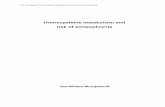 Homocysteine metabolism and risk of schizophrenia · J.W. Muntjewerff, Homocysteine metabolism and risk of schizophrenia Homocysteine metabolism and risk of schizophrenia Homocysteine