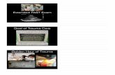 Extended FAST Exam Goal of Trauma Care - annenberg.net · trauma to the abdomen or chest Trauma in pregnancy Unexplained hypotension Indications Thoraco-Abdominal Anatomy - between