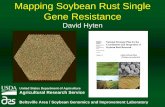 Mapping Soybean Rust Single Gene Resistance · Mapping Soybean Rust Single Gene Resistance David Hyten Beltsville Area / Soybean Genomics and Improvement Laboratory United States