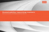sustainability reporting matters - accaglobal.com · SuStainability reporting matterS What are national government S doing about it? 3 Contents executive summary 5 1. existing guidance