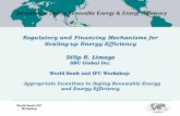 Regulatory and Financing Mechanisms for Scaling-up Energy ...siteresources.worldbank.org/INTENERGY2/Resources/4114191-1328286035673/... · Regulatory and Financing Mechanisms for