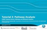 Tutorial 2: Pathway Analysis - projects.bigcat.unimaas.nlprojects.bigcat.unimaas.nl/data/adelaide-tutorials/tutorial2-pathway-analysis/...Pathway analysis methods •What does the