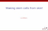 Making stem cells from skin! - Science in the Newssitn.hms.harvard.edu/wp-content/uploads/2011/05/stemcells-2.pdf · 1. Why create pluripotent stem cells from adult cells? - Cell