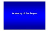 Atlas anatomy larynx - pdfs.semanticscholar.org fileglottis by addu in ct g the Posterior the Cricoarytenoids FUNCTION: Attaches to Muscles of the Larynx (posterior) Arg ep iglottic