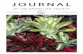 JOURNALjournal.bsi.org/PDF/V56/BSI_V56(1).pdf · JBS 56(1).2006 1 JOURNAL OF THE BROMELIAD SOCIETY Volume 56(1): 1–48 January-February 2006