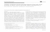 Tubulin cytoskeleton during microsporogenesis in the male ... · ORIGINAL ARTICLE Tubulin cytoskeleton during microsporogenesis in the male-sterile genotype of Allium sativum and
