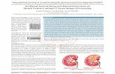 Artificial Neural Network Based Detection of Renal Tumors Using CT Scan Image Processing