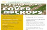 COVER Unp l TaCRntYRed GOroPundS? - ottawacd.orgottawacd.org/news/pdf/Cover Crops.pdfProducers may receive a waiver to plant cover crops before funding is approved. The waiver does