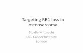 Targeting RB loss in osteosarcoma - bcrt.org.uk fileRetinoblastoma protein biology..predicts phenotypic liabilities that could provide synthetic sick/ synthetic lethal opportunities?