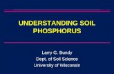 Understanding Soil Phosphorus - soils.wisc.edu · 5/acre x 80 ppm = 1440 lb P 2O 5 –Corn grain removes 60 lb P 2O 5/acre/year –1440/60 = 24 yrs with no added P for EH change to