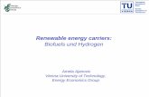 Biofuels und Hydrogen - polsoz.fu-berlin.de file• Introduction • Biofuels – Economic and ecological assessment • Hydrogen – Economic and ecological assessment • Conclusions