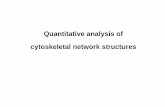 Quantitative analysis of cytoskeletal network structures fileCytoskeleton Keratin filaments. Role of cytoskeletal filaments 1. cell and tissue architecture 2. cell migration. Motility