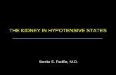 THE KIDNEY IN HYPOTENSIVE STATES - Official Website of ... AC Lectures/May 7/1.30 DR PADILLA THE... · Type 1 : Acute cardio renal syndrome The term WRF (worsening renal function)