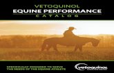 VETOQUINOL EQUINE PERFORMANCEvetoquinol.ca/sites/canada.platform.vetoquinol.com/files/16132_equine... · Vetoquinol equine Performance. Vetoquinol Equine Performance line is specifically
