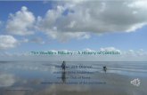The Wadden Estuary A History of Conflicts - Waddenacademie · The Wadden Estuary –A History of Conflicts Wouter van Dieren chairman IMSA Amsterdam member Club of Rome member World