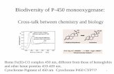 Biodiversity of P-450 monooxygenasebiotka.mol.uj.edu.pl/zbm/handouts/2012/TS/Lecture-5_Cyt._P450_O2_activation.pdf · Biodiversity of P-450 monooxygenase: Cross-talk between chemistry