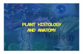 PLANT HISTOLOGY AND ANATOMY - Karnataka · PLANT HISTOLOGY AND ANATOMY. Q. TranscellularTranscellular strands are strands are seen in a) Xylem vessels b) ThidTracheids c) ParenchymacellsParenchyma