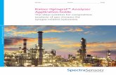 Kaiser Optograf Analyzer Application Guide - endress.com · Composition/CO Raw Syngas - Secondary Reformer Outlet OptoDRS AM4 Composition/CO High Temperature Shift Converter Outlet