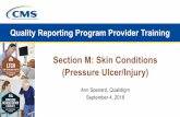 Section M: Skin Conditions (Pressure Ulcer/Injury) · 2. IRF-PAI v2.0 LTCH CARE Data Set v4.00 | Section M | September 2018. Housekeeping • This webinar is being recorded • Closed