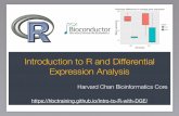 Introduction to R and Differential Expression Analysis · Training • Short workshops ... Center for Stem Cell Bioinformatics Harvard Catalyst Bioinformatics Consulting HMS Tools