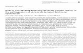 Role of TNF-related apoptosis-inducing ligand (TRAIL) in ... · ORIGINAL ARTICLE RoleofTNF-related apoptosis-inducing ligand (TRAIL)in the pathogenesis of varicocele-induced testicular