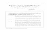 Oryza sativa) and the inhibition of calcium oxalate ...clmjournal.org/_fileupload/journal/450-2-3.pdf · Khawsuk W, Semangoen T, Nuurai P, Mepan W, Wingworn K. Antioxidant activity