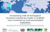 Increasing risk of biological invasion posed by trade in ... · Junko Shimura Secretariat of the Convention on Biological Diversity Increasing risk of biological invasion posed by