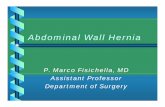 Abdominal Wall Hernia PF - meddean.luc.edu · Abdominal Wall Hernia •• Definition Definition –– External External –– Interparietal Interparietal – Internal – Reducible