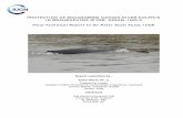 PROTECTION OF ENDANGERED GANGES RIVER DOLPHIN IN ... · PROTECTION OF ENDANGERED GANGES RIVER DOLPHIN IN BRAHMAPUTRA RIVER, ASSAM, INDIA Final Technical Report to Sir Peter Scott