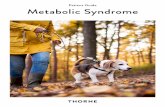 Patient Guide Metabolic Syndrome · Metabolic Syndrome 01 Overview BMI Associated conditions 02 Cardiovascular disease Polycystic ovarian syndrome Fatty liver Sleep apnea Type 2 diabetes