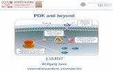 PI3K and beyond - onkopedia.com · Stratification by PI3K pathway* and visceral disease status Postmenopausal women with HR+/HER2 – locally advanced or metastatic breast cancer
