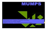 MUMPS - USU OpenCourseWareocw.usu.ac.id/.../1110000141-tropical-medicine/tmd175_slide_mumps.pdf · Mumps virus has been isolated from human saliva, blood, urine, and CSF during the