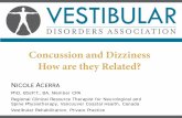 Concussion and Dizziness How are they ... - vestibular.org and... · Your Vestibular System does important work behind the scenes! The vestibular system is difficult to appreciate