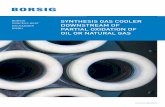 BORSIG SYNTHESIS GAS COOLER PROCESS HEAT EXCHANGER … · impurities, the high particulate burden of the gas and the hydrogen sulfide the waste heat boiler must be highly resistant