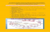 STANDING INSTRUCTIONS ON PREVENTION, CONTAINMENT …tcm.bsf.gov.in/SOP ABOUT MALERIA PREVENTION.pdf · STANDING INSTRUCTIONS ON PREVENTION, CONTAINMENT AND MANAGEMENT OF MALARIA IN