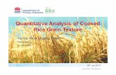 Quantitative Analysis of Cooked Rice Grain Texture · Name of program Method Texture Profile Analysis (TPA) using TXT • Weigh and prepare 1g cooked rice sample within the mark on