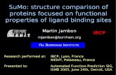 SuMo: structure comparison of proteins focused on ... · SuMo: structure comparison of proteins focused on functional properties of ligand binding sites Martin Jambon IBCP, Lyon,