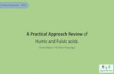A Practical Approach Review of Humic and Fulvic acids. · Fertasa Symposium - 2015 What are humic and fulvic acids? Active soil organic matter that forms the key component of sustainable