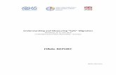 FINAL REPORT - IOM GMDAC migration/Final report... · Understanding and Measuring “Safe” Migration Workshop, 21-22 June 2016 Le Méridien Grand Hotel, Nuremberg – Germany FINAL