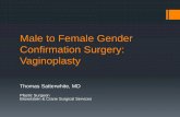 Male to Female Gender Confirmation Surgery: Vaginoplasty · Male to Female Gender Confirmation Surgery: Vaginoplasty Thomas Satterwhite, MD Plastic Surgeon Brownstein & Crane Surgical