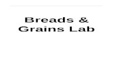 €¦ · Web viewThe purpose of this lab is for students to prepare yeast breads and to watch demonstrations using a bread machine and a frozen yeast bread product.