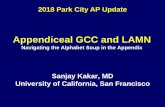 Appendiceal GCC and LAMN - arup.utah.edu · Mucinous adenocarcinoma, low grade with peritoneal involvement Mucinous carcinoma peritonei, low grade Disseminated peritoneal adenomucinosis
