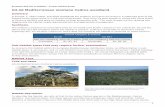 G3.4d Mediterranean montane Cedrus woodland - Europa · 03.09.2016 · European Red List of Habitats - Forests Habitat Group G3.4d Mediterranean montane Cedrus woodland Summary In