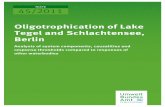 Oligotrophication of Lake Tegel and Schlachtensee, Berlin · Oligotrophication of Lake Tegel and Schlachtensee, Berlin . Analysis of system components, causalities and response thresholds