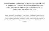 DURATION OF IMMUNITY OF LIVE VACCINE CEVAC S. … · DURATION OF IMMUNITY OF LIVE VACCINE CEVAC S. Gallinarum TESTED BY Salmonella Enteritidis AND Salmonella Gallinarum CHALLENGES,