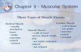 Chapter 9 - Muscular System - Arkansas State University 9 - Muscular System.pdf · Chapter 9 - Muscular System Three Types of Muscle Tissues Smooth Muscle • walls of most viscera,