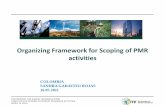 Organizing Framework for Scoping of PMR activities · PARTNERSHIP FOR MARKET READINESS (PMR) TEMPLATE FOR SCOPING OF MARKET READINESS ACTIVITIES (APRIL 22, 2011) Organizing Framework