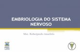 EMBRIOLOGIA DO SISTEMA NERVOSO - …professor.pucgoias.edu.br/SiteDocente/admin/arquivosUpload/15347/material/Aula 1... · SNC . Tubo neural . Neurulação Neuroporo anterior Neuroporo