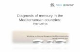 Diagnosis of mercury in the Mediterranean countries - CPRAC · Algeria): 0.69.* *mercury losses per year Switching to mercury-free process.(2010) Slovenia NO Tunisia NO One chlor-alkali